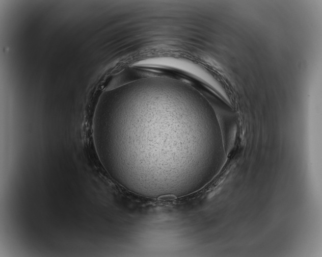 X0000088830822200706141519