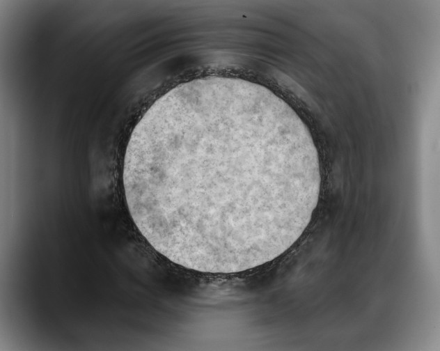 X0000088830824200706141519