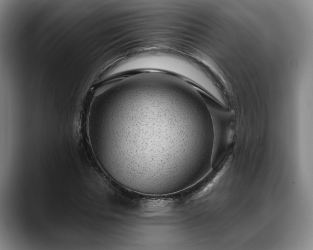 X0000088830826200706141519