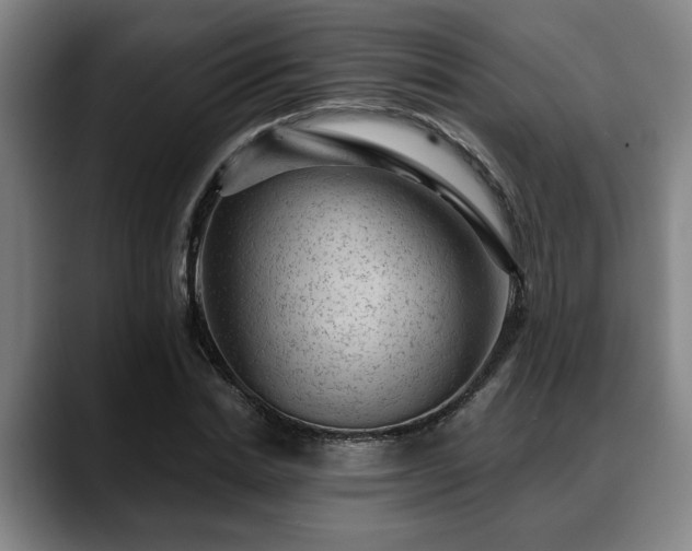 X0000088830830200706141519