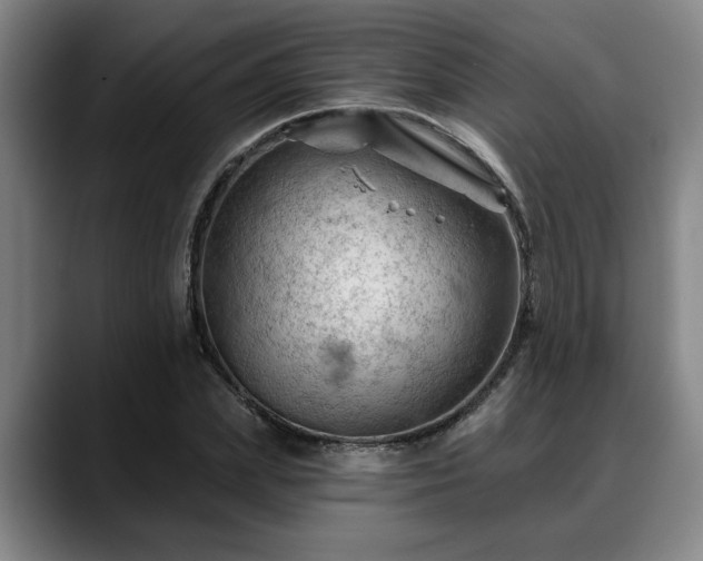 X0000088830831200706141519