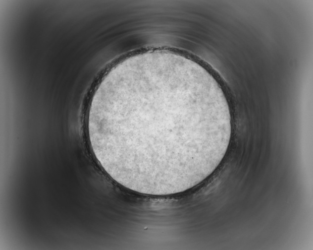 X0000088830832200706141519