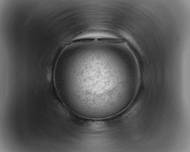 X0000088830833200706141519
