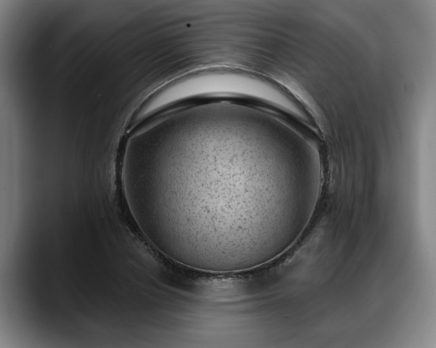 X0000088830834200706141519