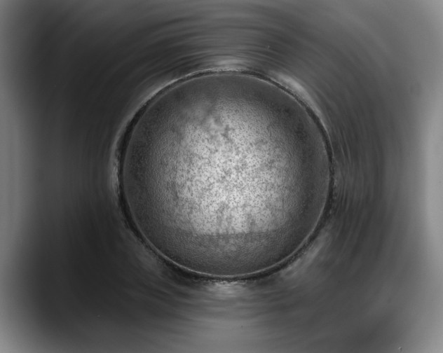 X0000088830835200706141519