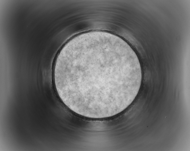 X0000088830836200706141519