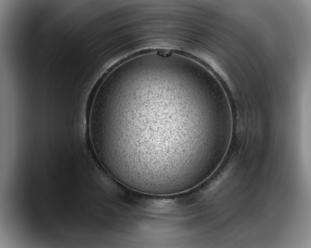 X0000088830837200706141519