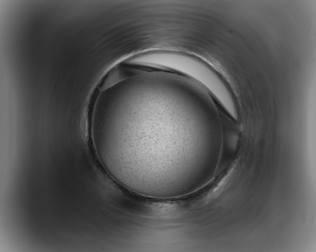 X0000088830838200706141519