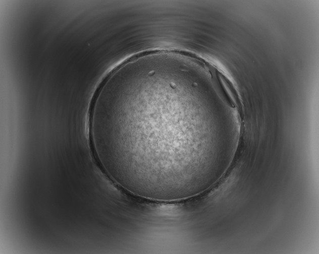 X0000088830839200706141519