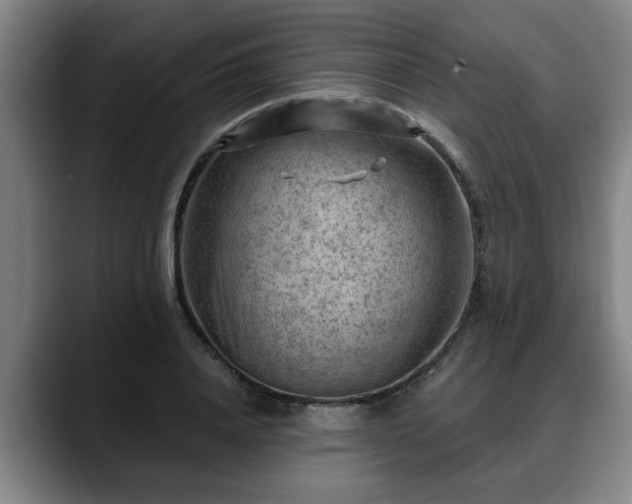 X0000088830840200706141519