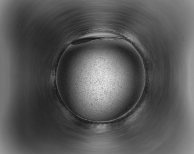 X0000088830841200706141519
