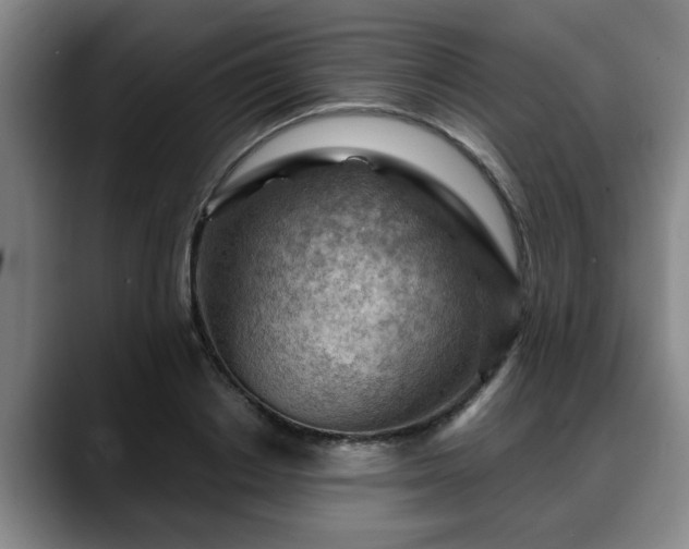 X0000088830842200706141519