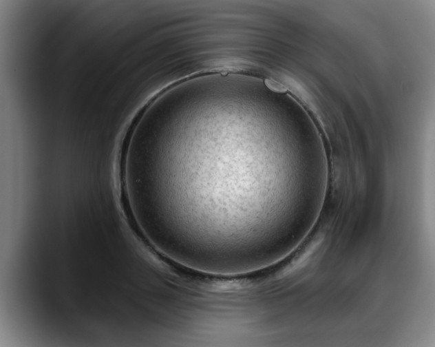 X0000088830843200706141519