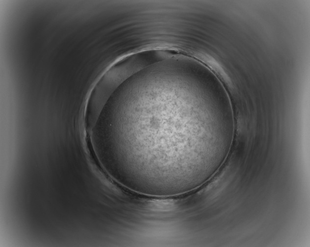 X0000088830844200706141519