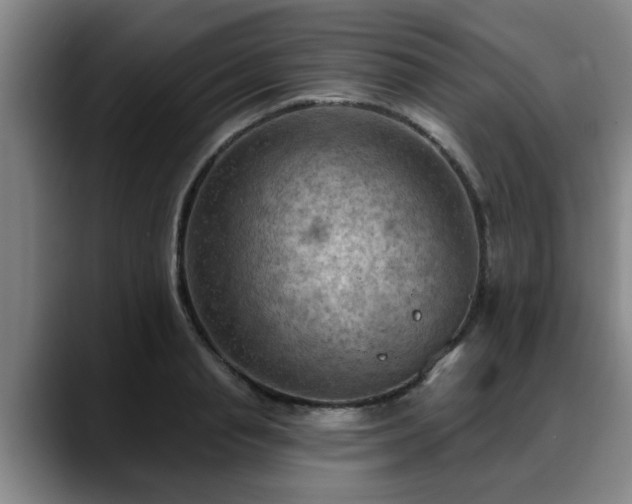 X0000088830845200706141519