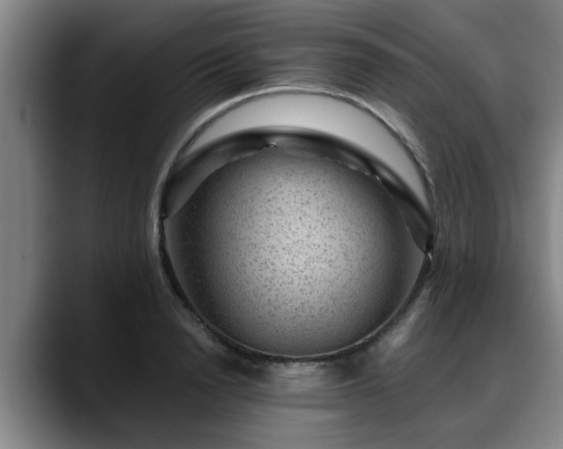 X0000088830846200706141519