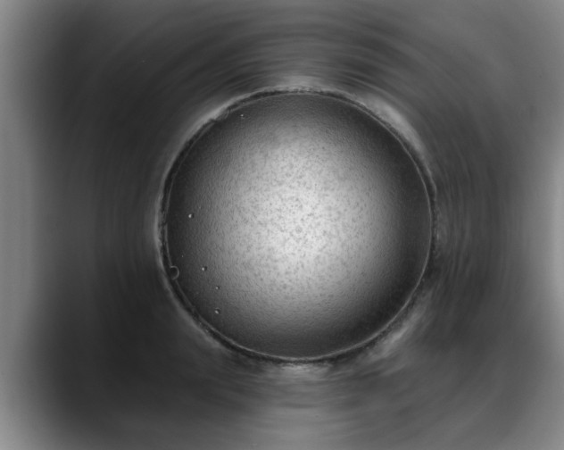 X0000088830847200706141519