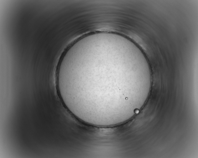 X0000088830848200706141519