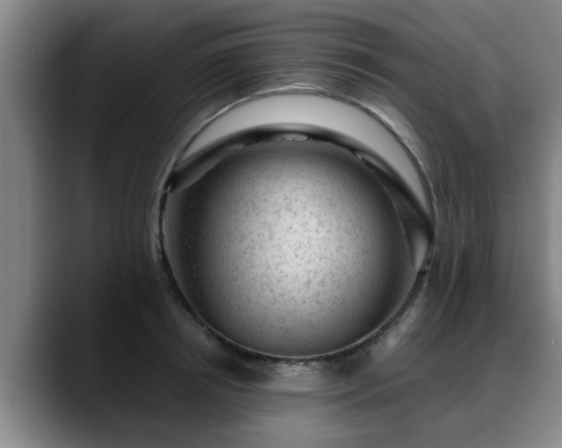 X0000088830850200706141519