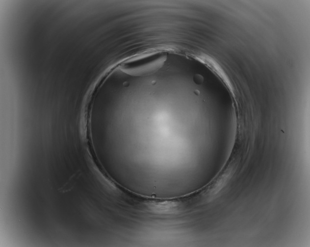 X0000088830851200706141519