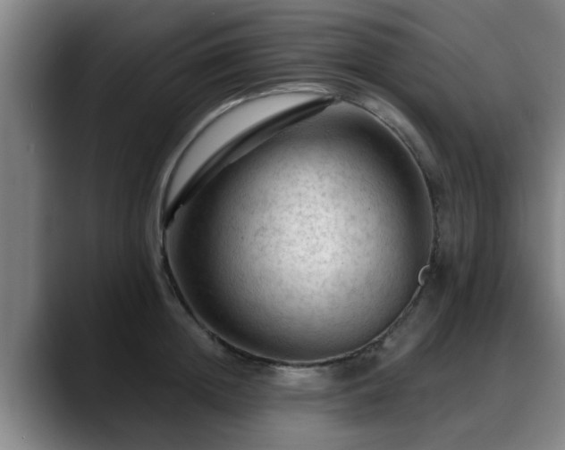 X0000088830852200706141519
