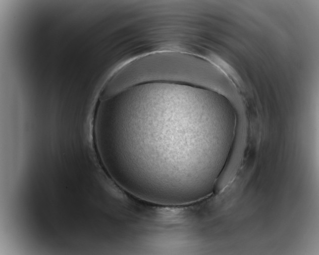 X0000088830854200706141519