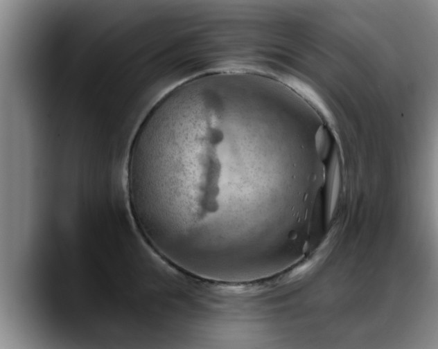 X0000088830855200706141519