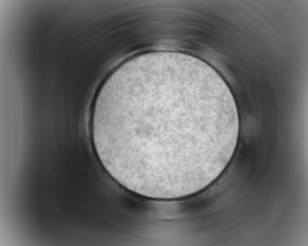 X0000088830856200706141519