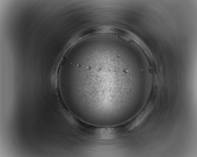 X0000088830858200706141519