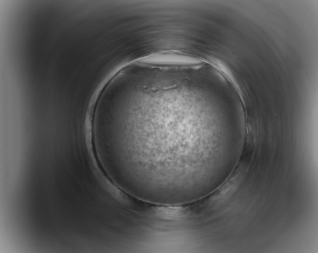 X0000088830859200706141519