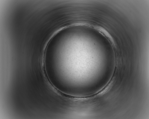 X0000088830860200706141519