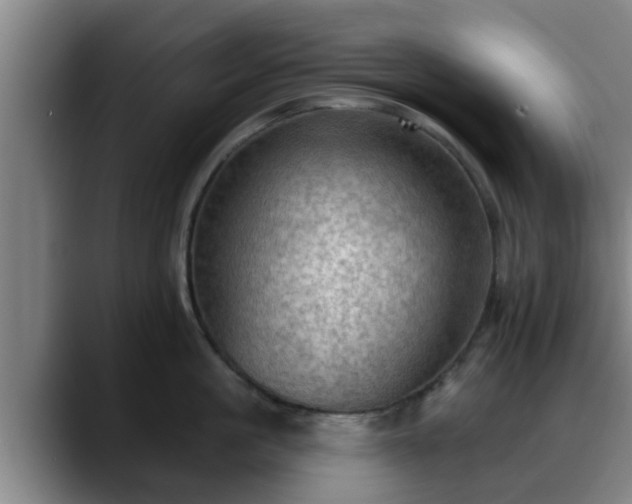 X0000088830861200706141519