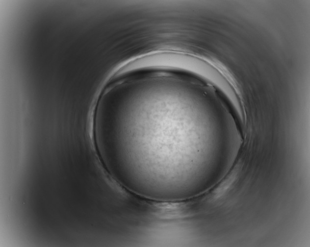 X0000088830862200706141519