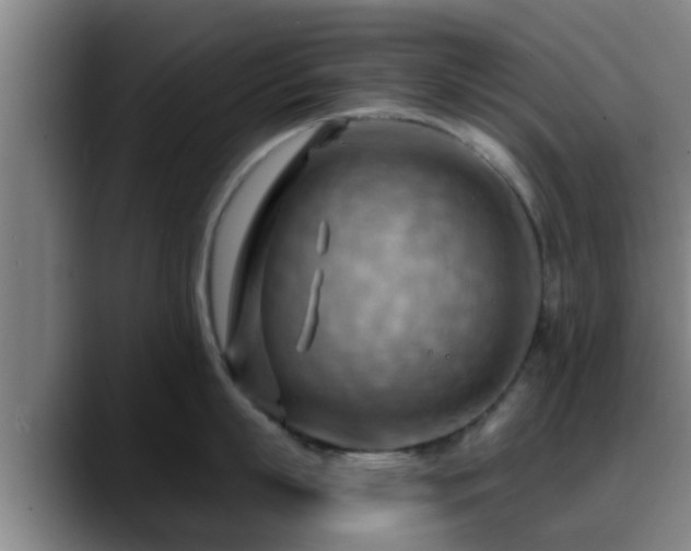 X0000088830863200706141519