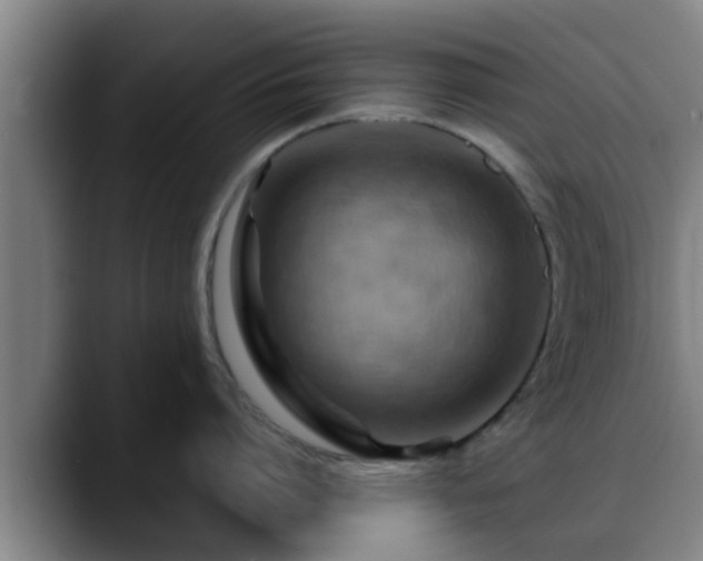 X0000088830864200706141519