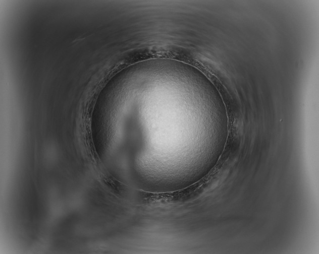 X0000088830865200706141519