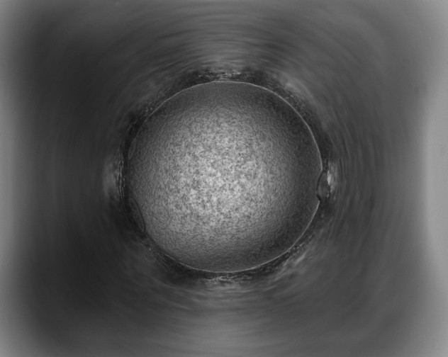 X0000088830867200706141519