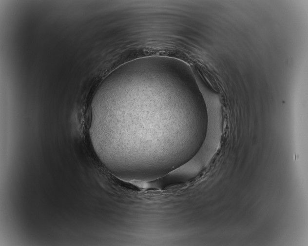 X0000088830868200706141519