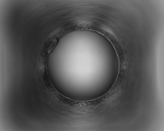 X0000088830869200706141519
