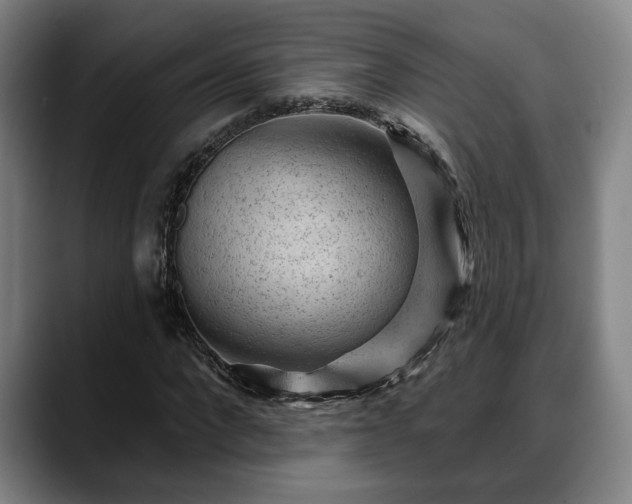 X0000088830872200706141518