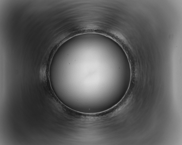 X0000088830873200706141518