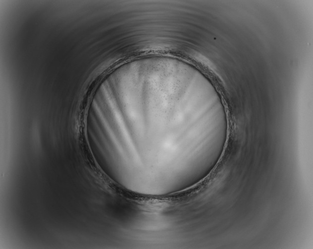 X0000088830874200706141518
