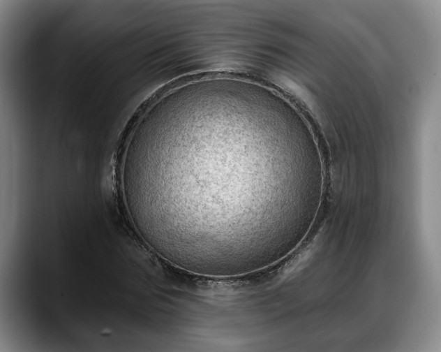 X0000088830875200706141518