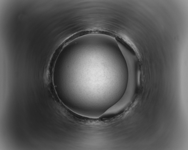 X0000088830876200706141518