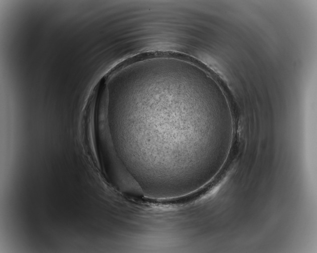 X0000088830877200706141518