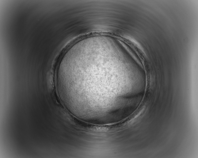 X0000088830878200706141518