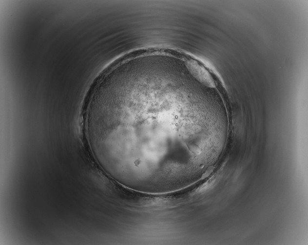 X0000088830879200706141518