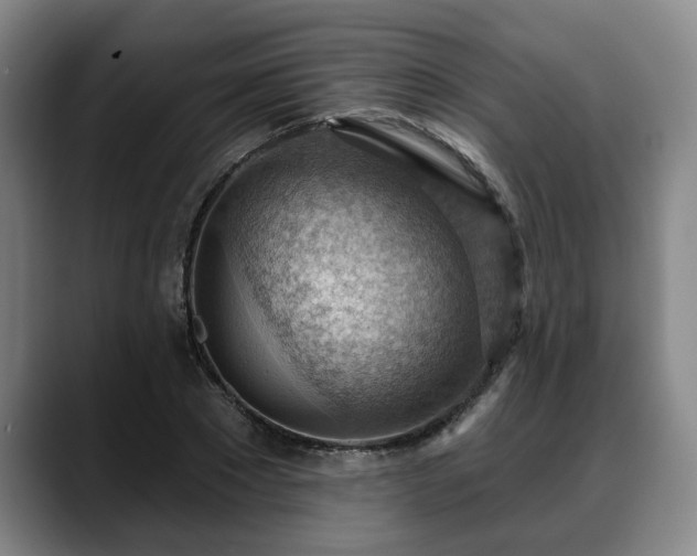 X0000088830881200706141518