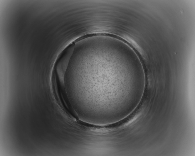 X0000088830885200706141518
