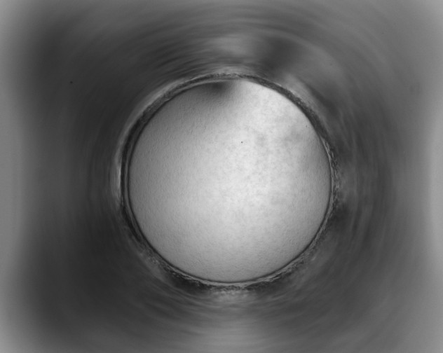 X0000088830886200706141518